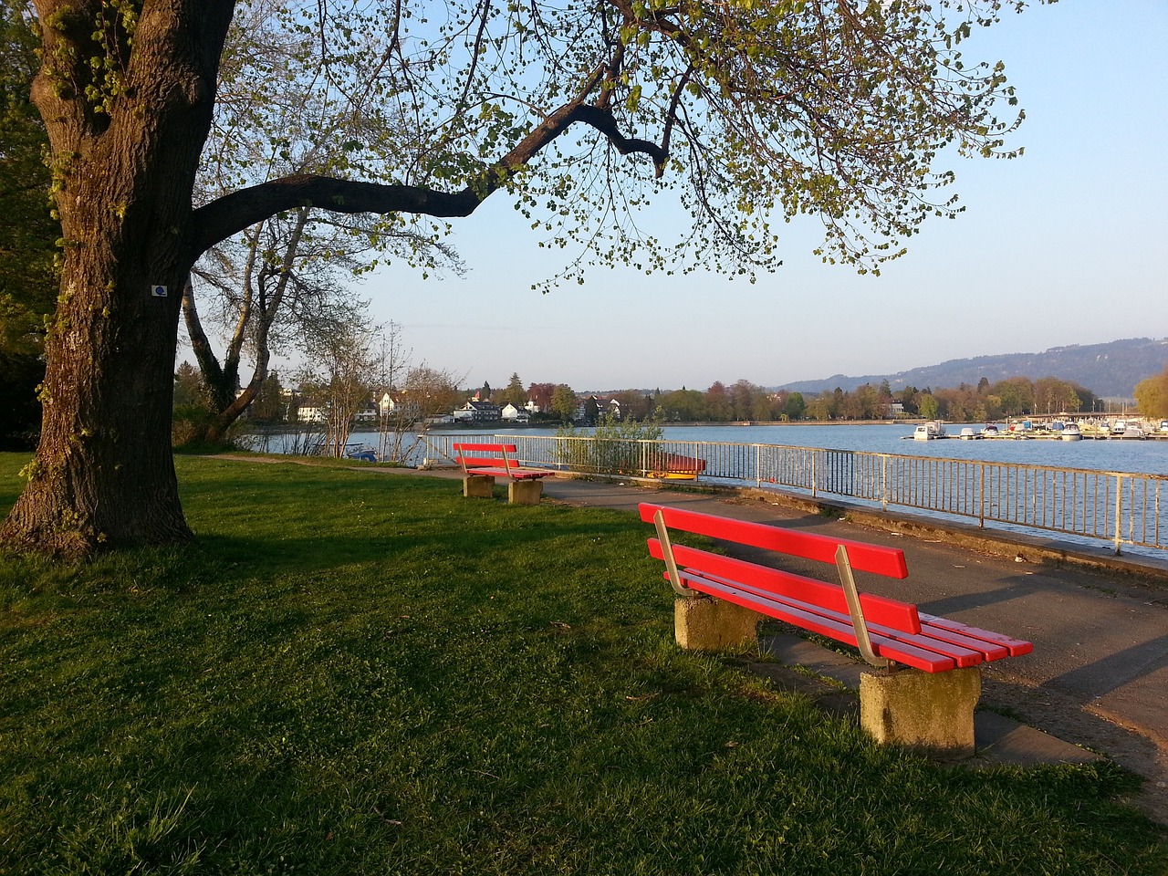 旅游市场的 旅游市场的