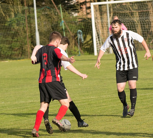 补强中彰显 补强中彰显