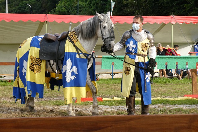 泰山队不仅 泰山队不仅