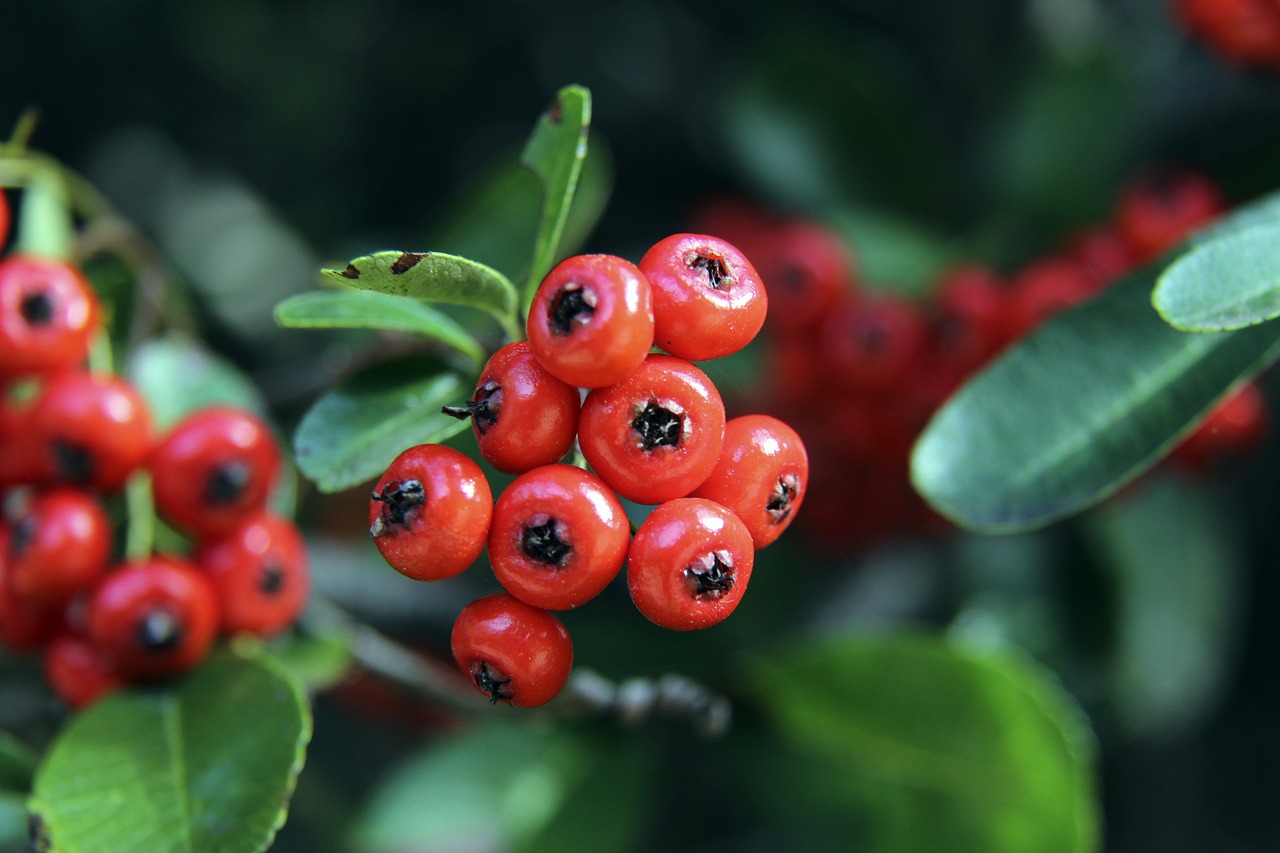 球员之间配 球员之间配