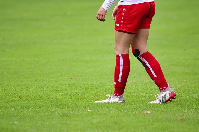 因为他已经 因为他已经