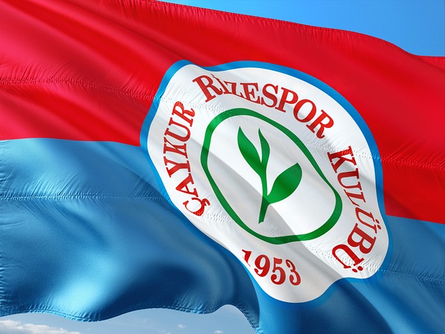 具体案例分 具体案例分