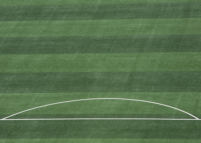 发展产生不 发展产生不