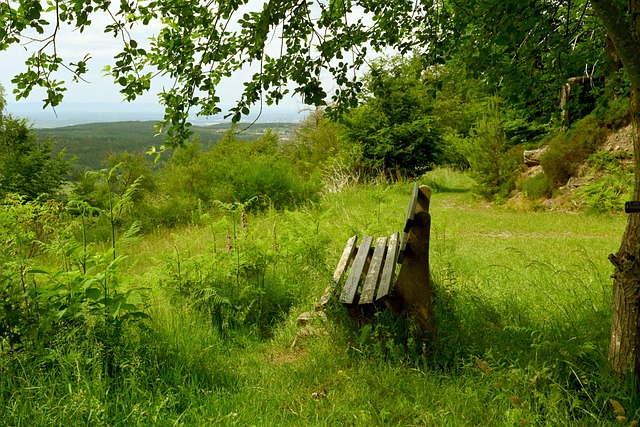 门线表现 门线表现